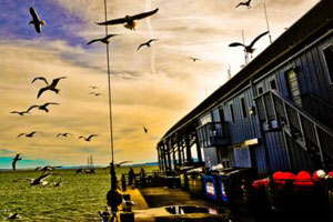 可靠的自助平台推荐的DDOS攻击器